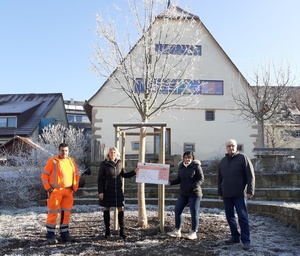 Symbolische Scheckübergabe vor der neu gepflanzten Silberlinde